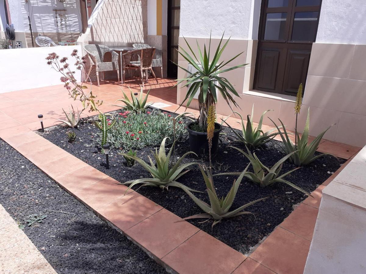 Beautiful coastline bungalow near the ocean 50 m Apartment Costa De Antigua Exterior foto
